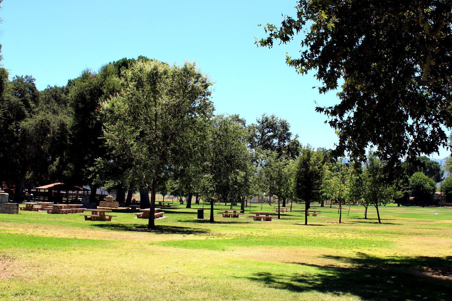 Newhall Park