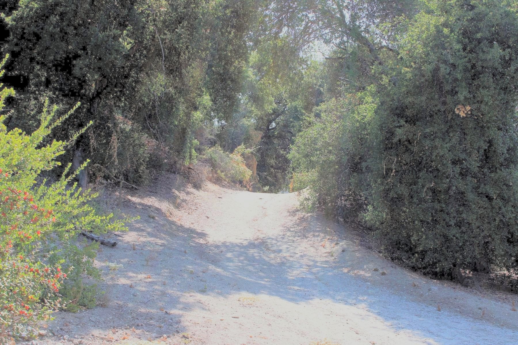 The Pico Canyon Trail, straight out the back of the neighborhood