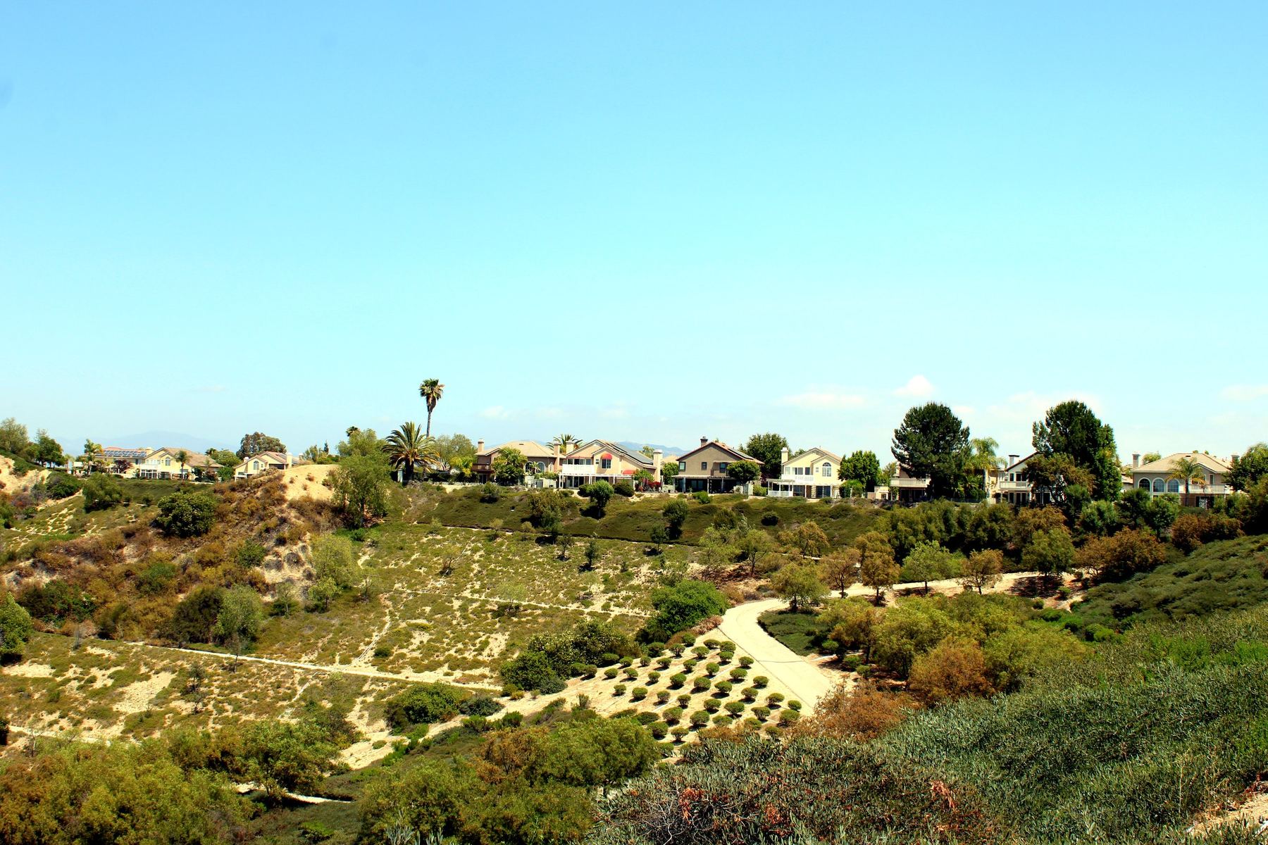 The Pico Canyon hillsides above the neighborhood