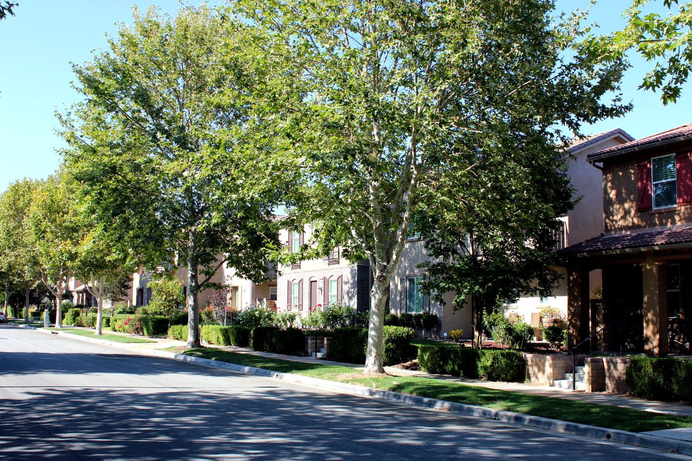 Tree-lined street of two-story homes in a Valencia, CA neighborhood