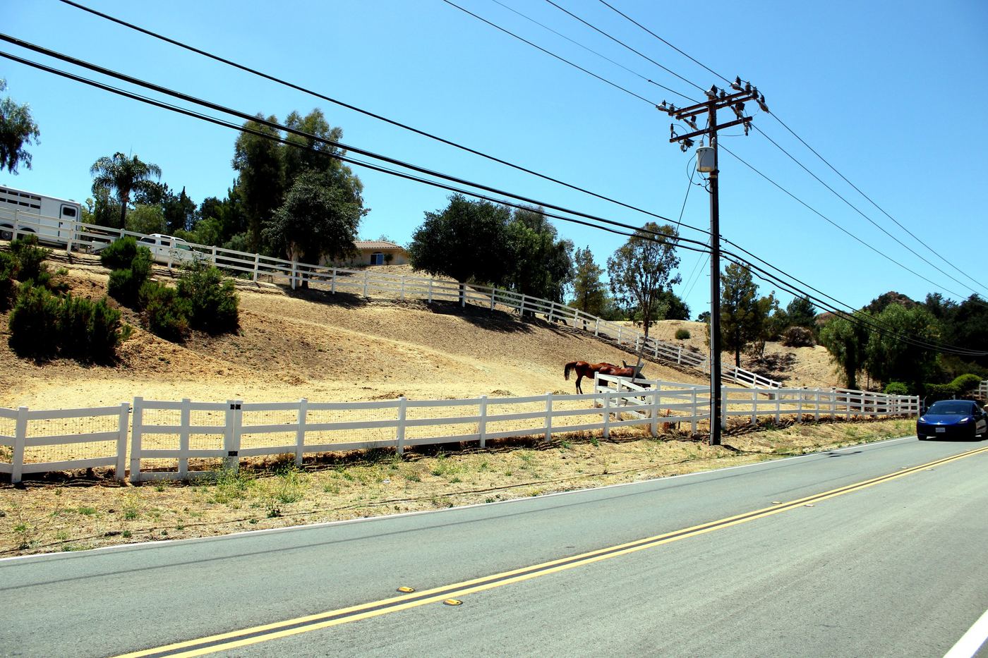 Rural hillside horse property near Hasley Canyon, Castaic, Santa Clarita